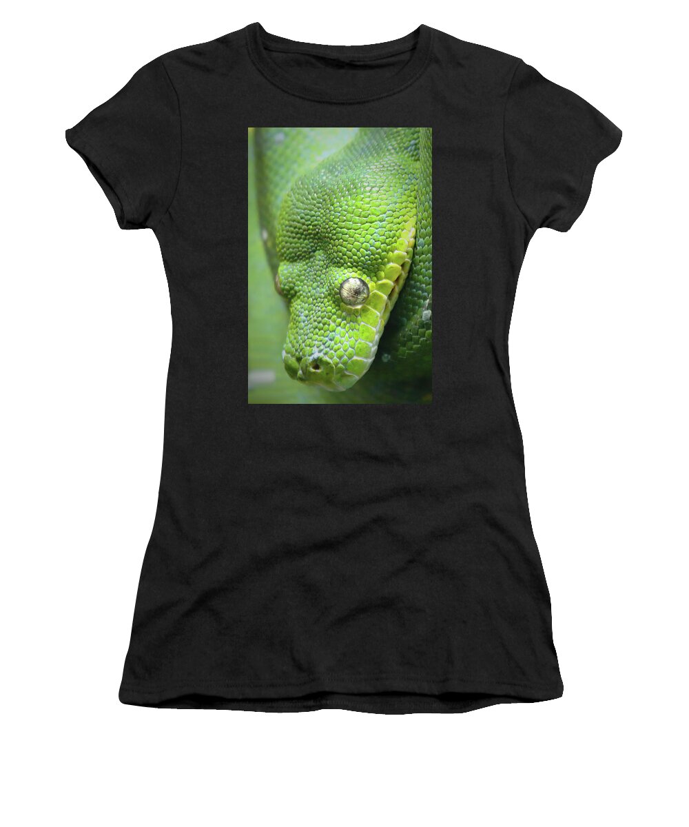 Green Women's T-Shirt featuring the photograph Green With Envy by Lens Art Photography By Larry Trager