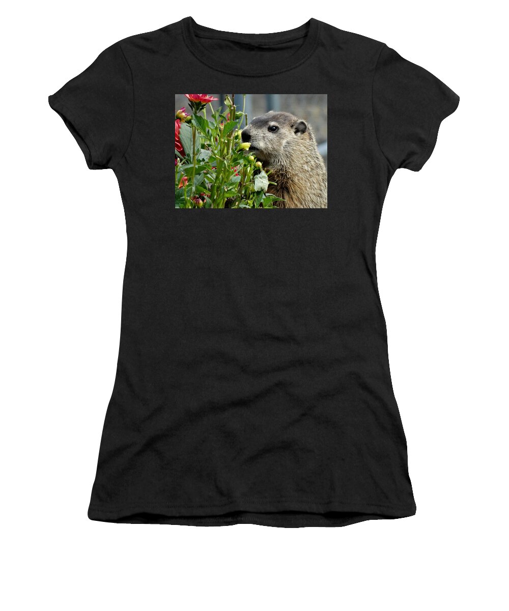 Groundhog Women's T-Shirt featuring the photograph Groundhog In October by Susan Sam