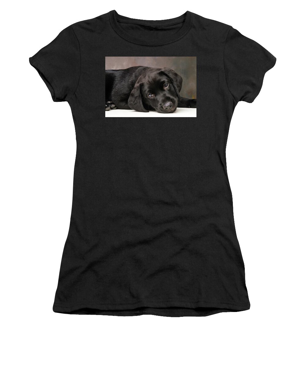 Black Lab Women's T-Shirt featuring the photograph Harley by Robert Dann