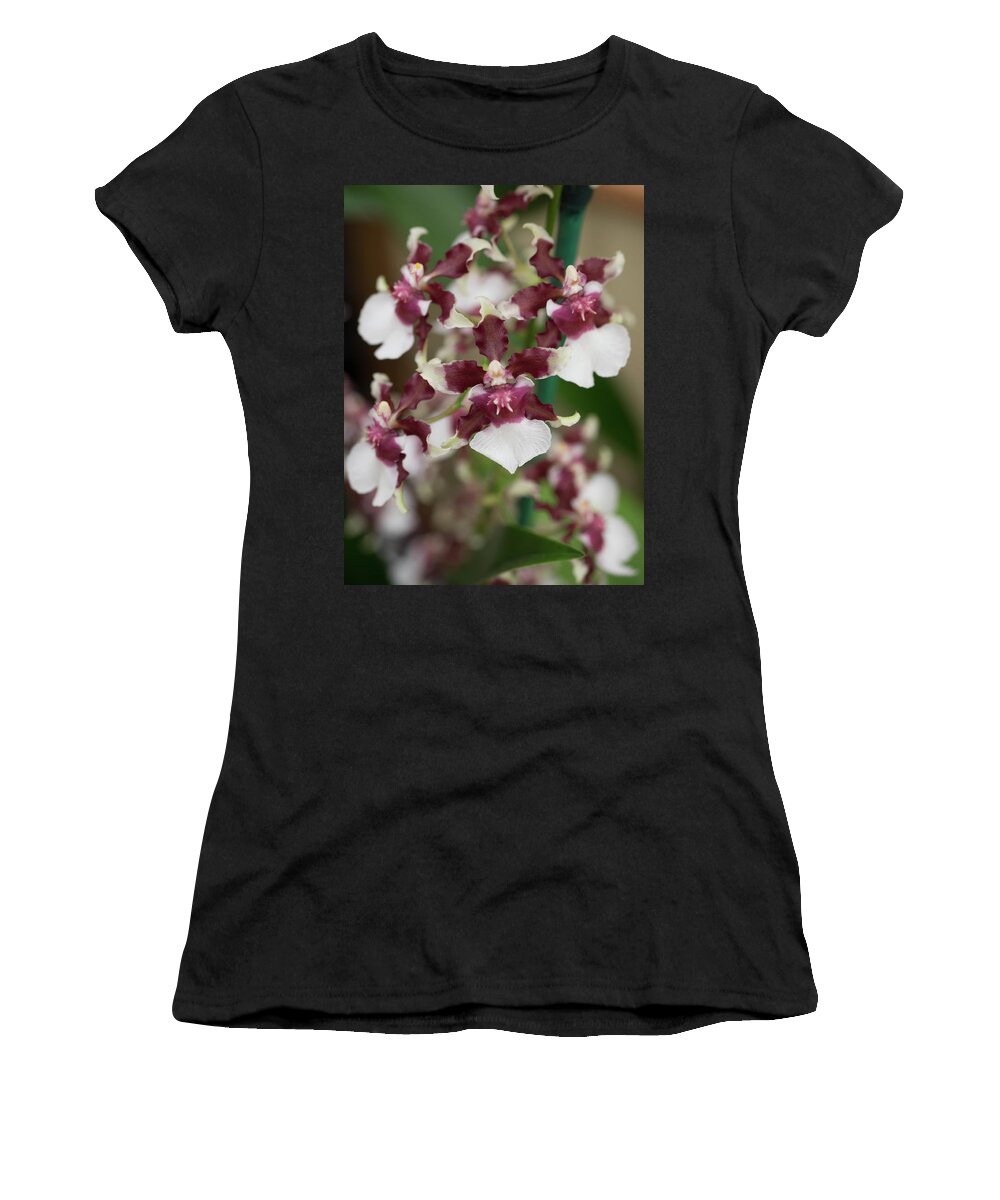 America Women's T-Shirt featuring the photograph Hawaiian Orchid_452 by James C Richardson