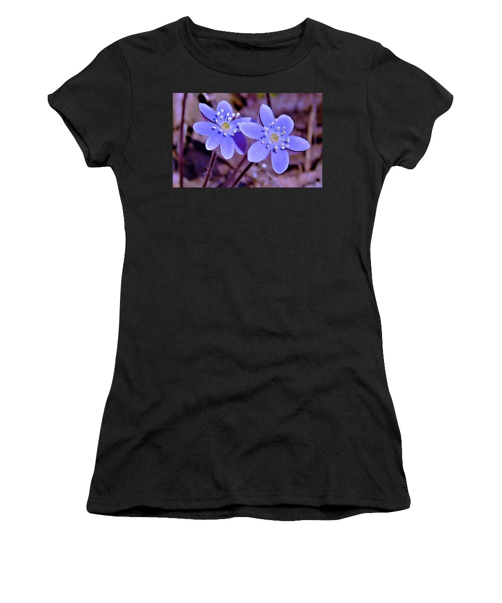 - Hepatica Women's T-Shirt featuring the photograph - Hepatica by THERESA Nye