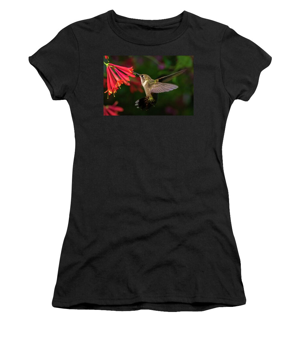 Hummingbird Women's T-Shirt featuring the photograph Honeysuckle Hummingbird by Brian Caldwell