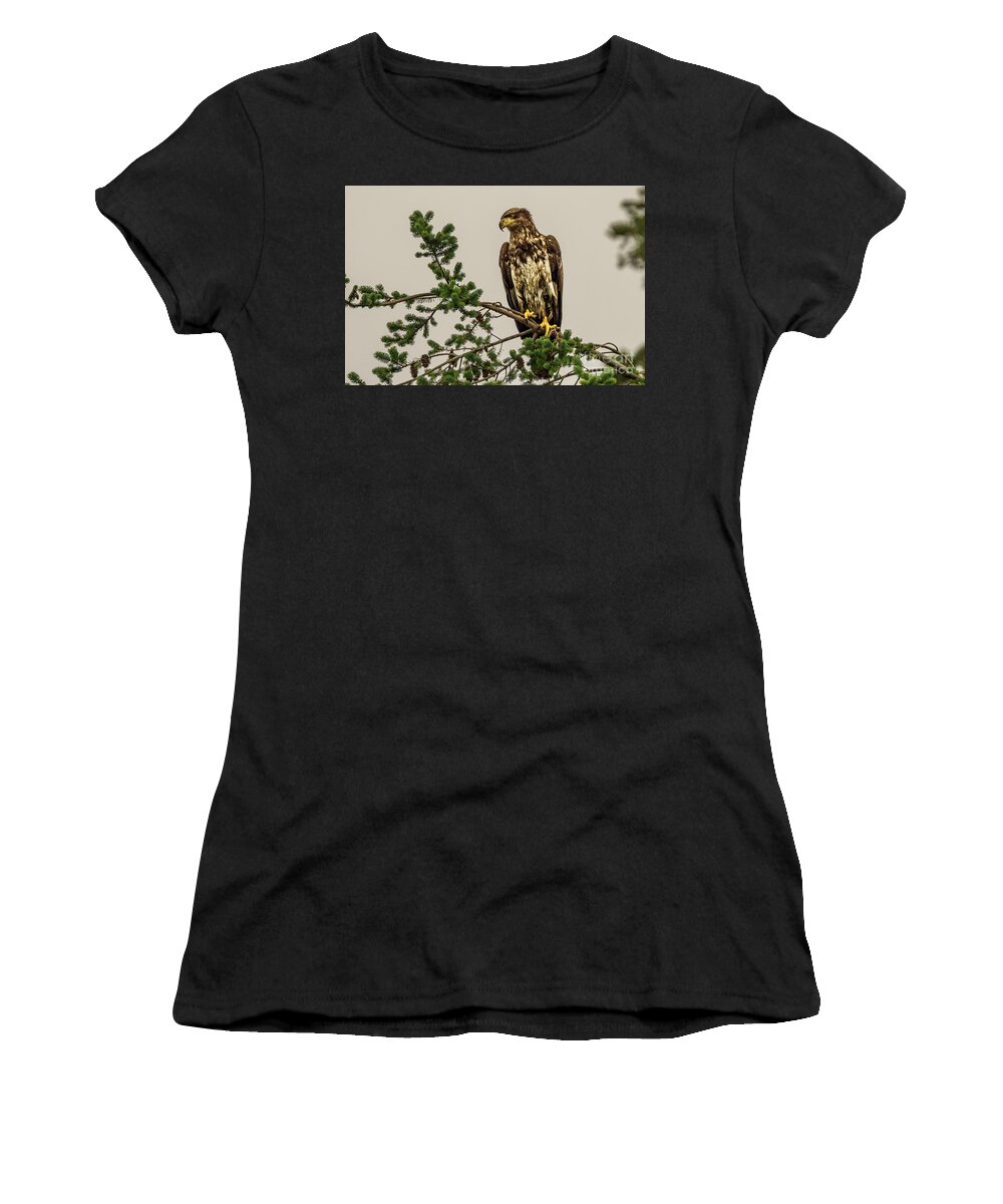 Bald Eagle Women's T-Shirt featuring the photograph Immature Bald Eagle at Camano Island, Washington by Nancy Gleason