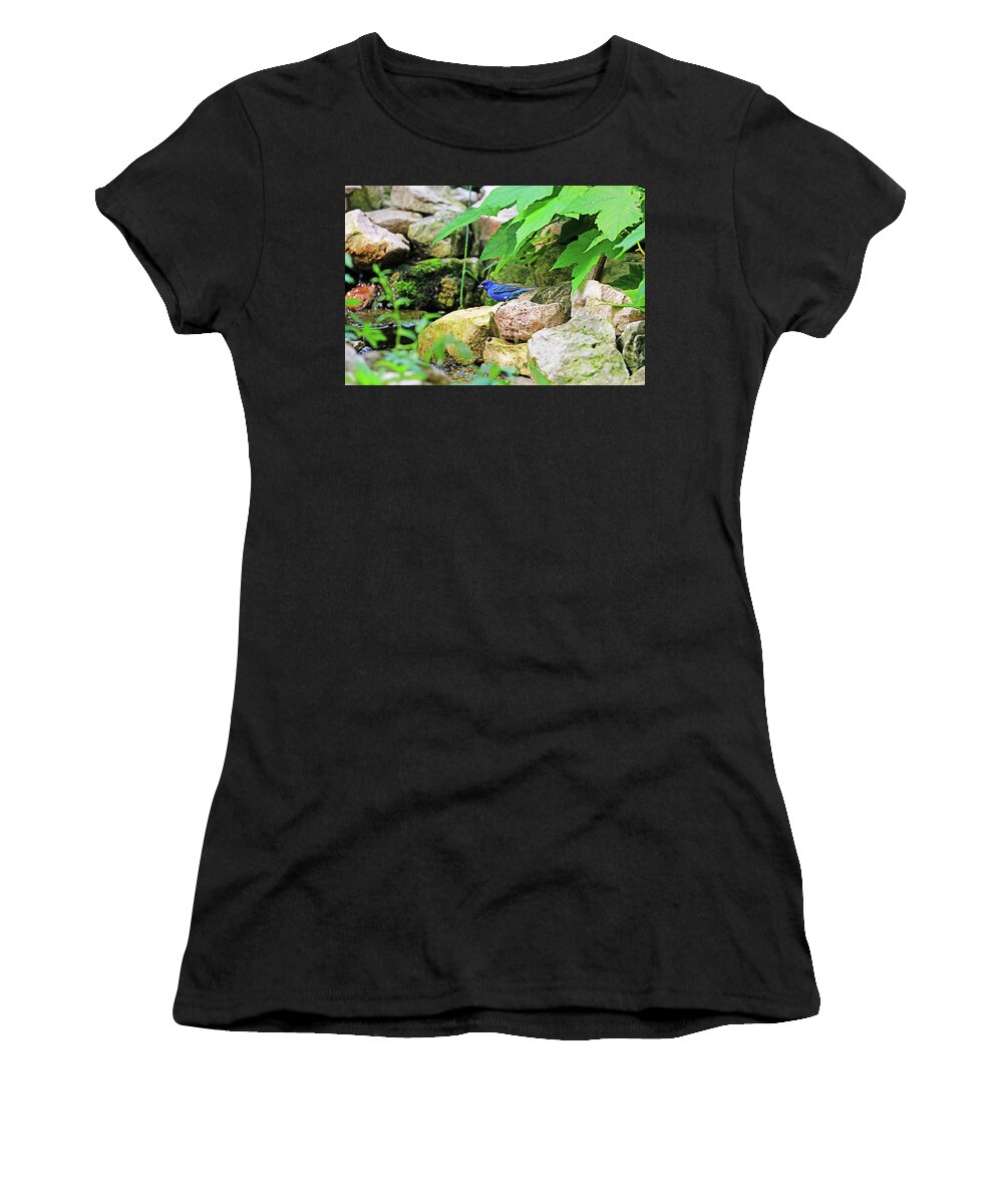 Indigo Bunting Women's T-Shirt featuring the photograph Indigo On The Rocks by Debbie Oppermann