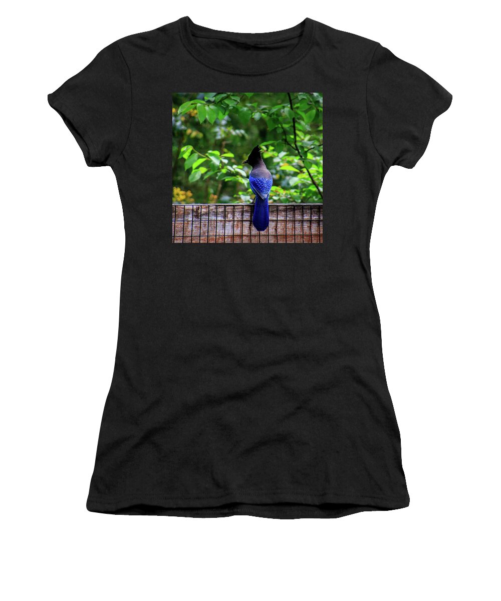 Fairwinds Women's T-Shirt featuring the photograph Jay's Back by Phyllis McDaniel