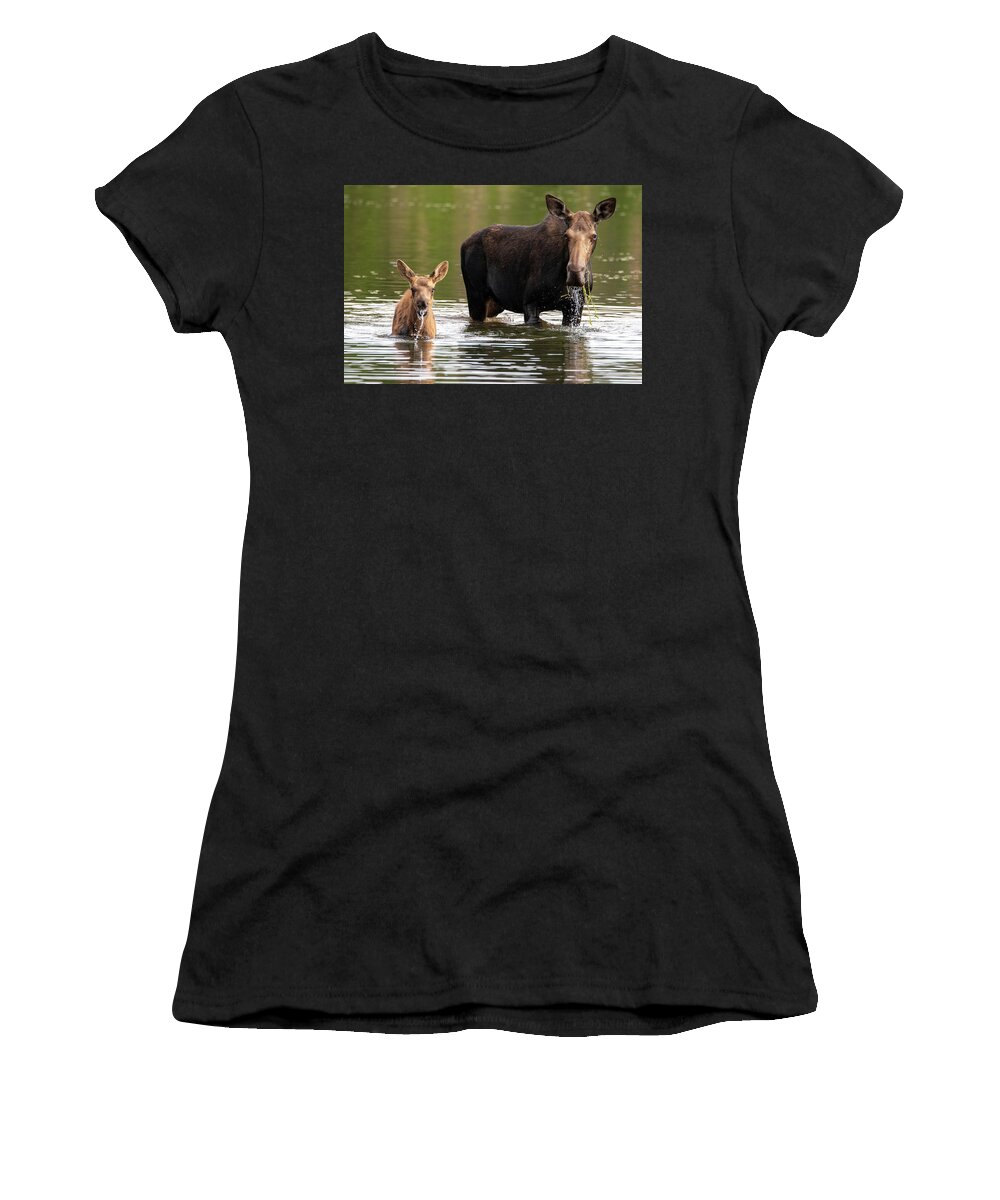 Moose Women's T-Shirt featuring the photograph Just Like Mom by Darlene Bushue