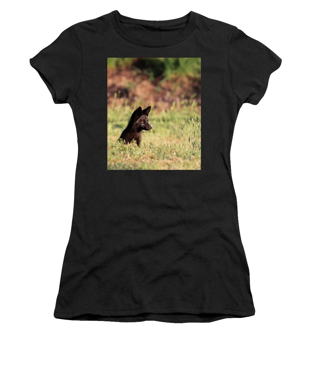 Silver Fox Women's T-Shirt featuring the photograph Keeping Watch by Shane Bechler