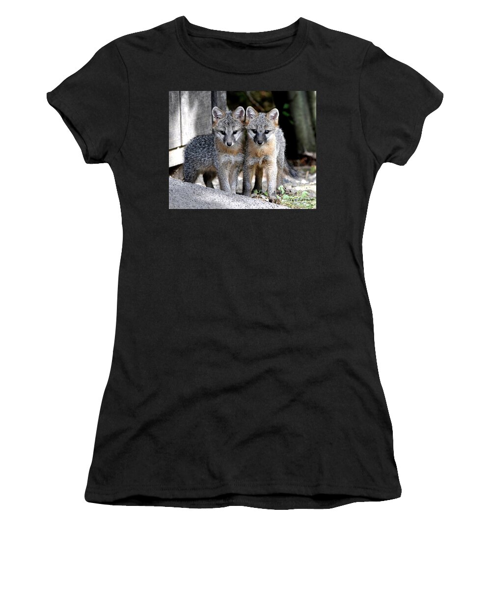 Kit Fox Women's T-Shirt featuring the photograph Kit Fox6 by Torie Tiffany