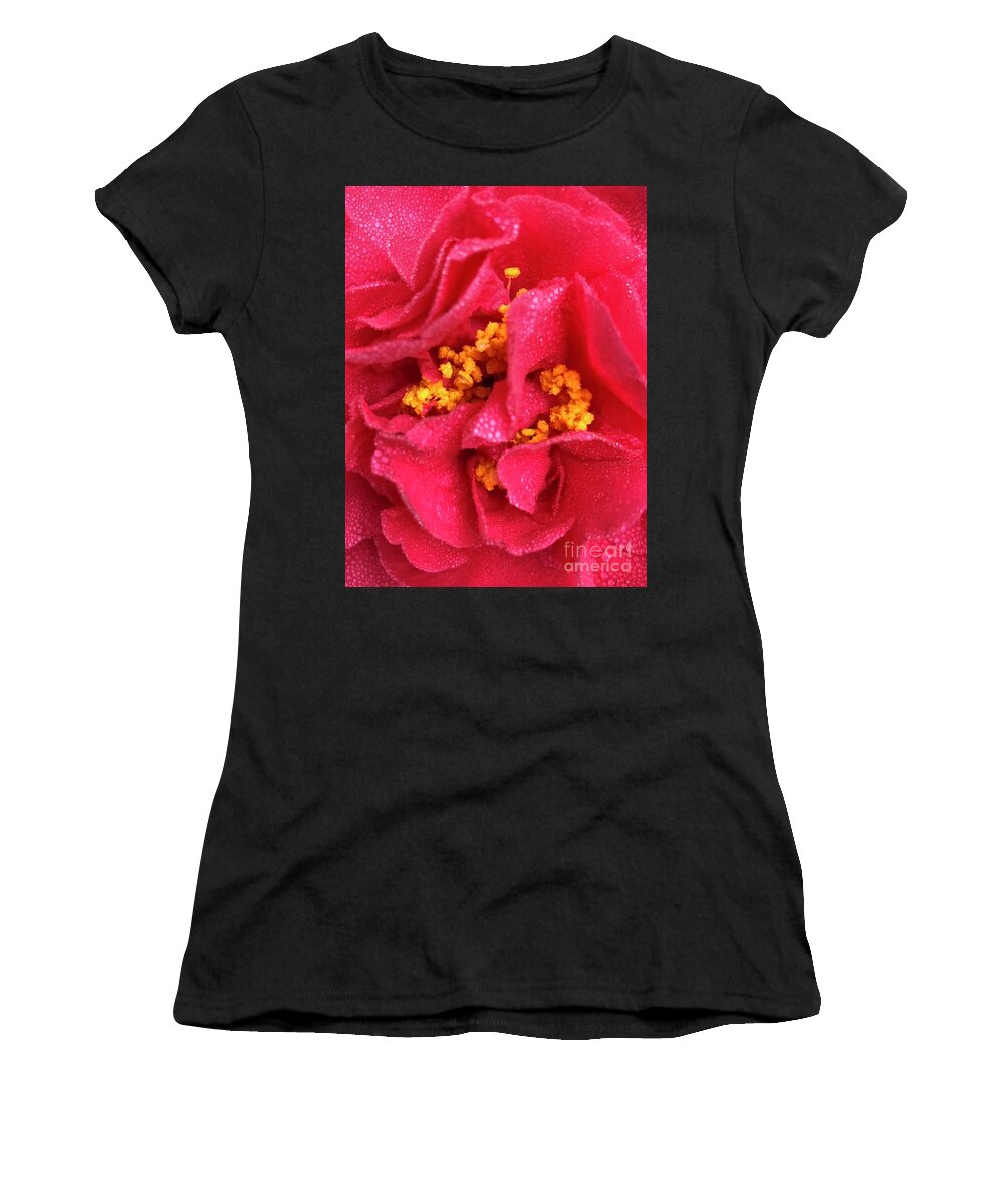 Flowers Women's T-Shirt featuring the photograph Kramer Supreme Camellia Japonica in Clayton, North Carolina by Catherine Ludwig Donleycott
