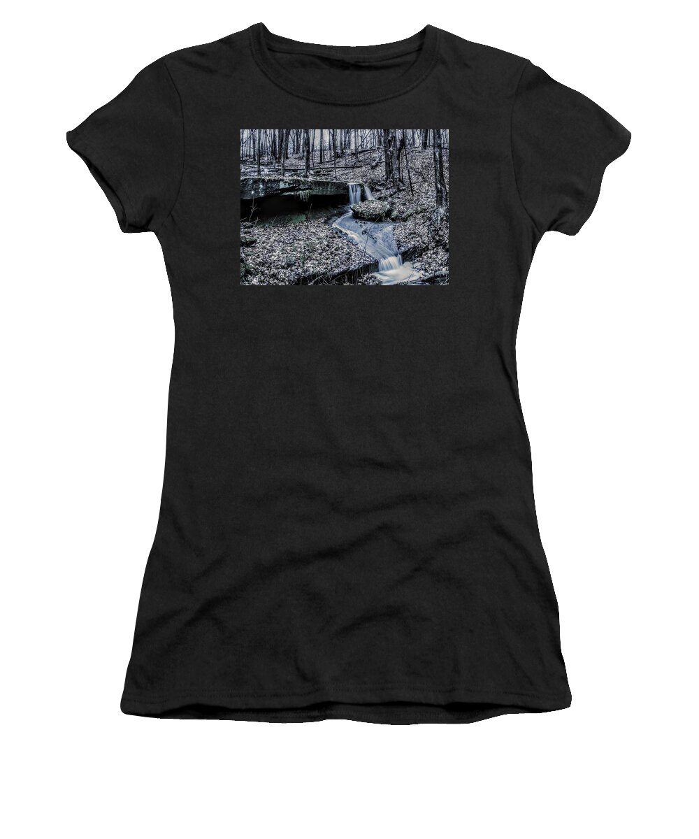  Women's T-Shirt featuring the photograph Liberty Park in the Fall by Brad Nellis