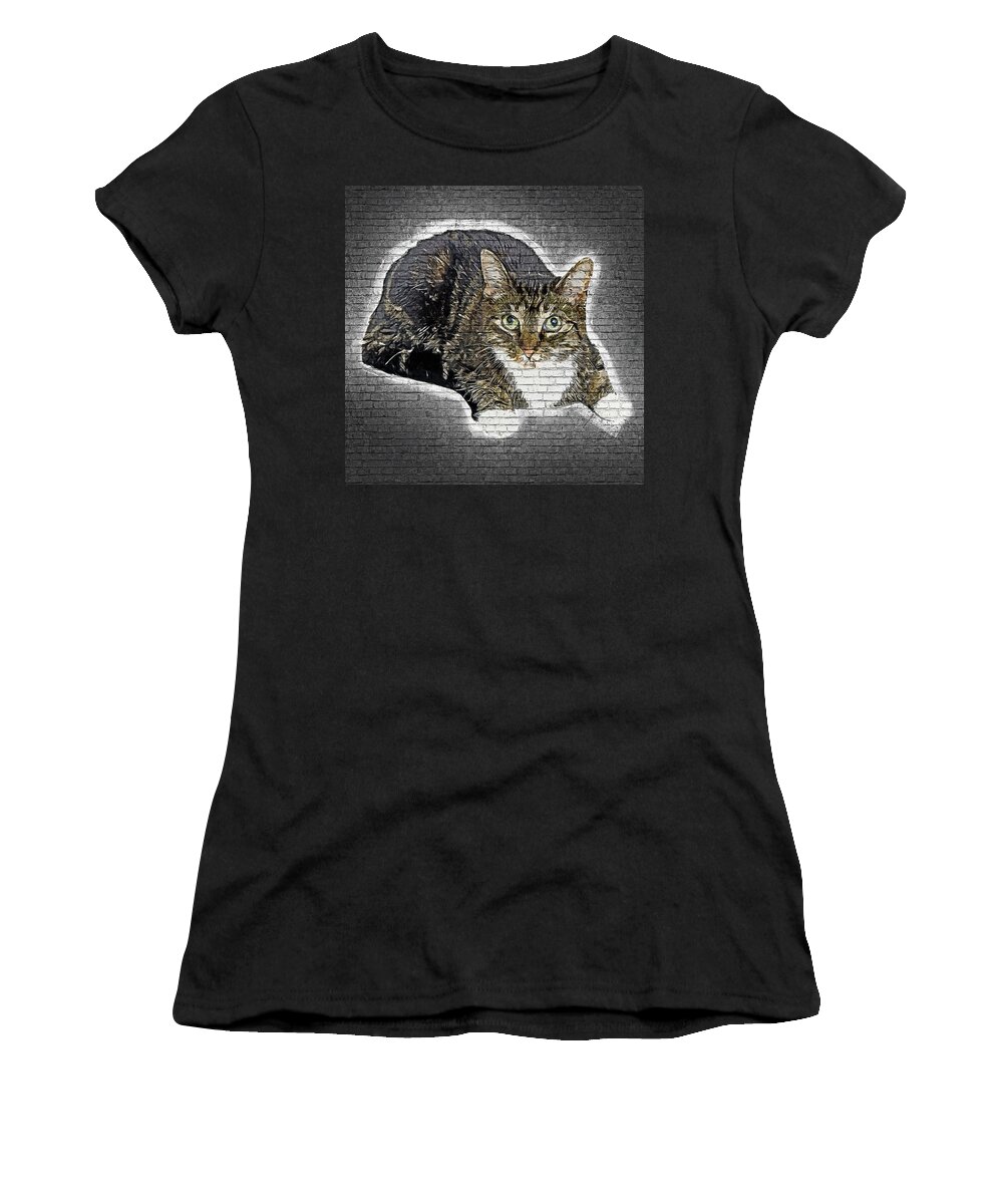 Domestic Women's T-Shirt featuring the painting Lookin Pretty, Lying Down Ginger Cat by Custom Pet Portrait Art Studio