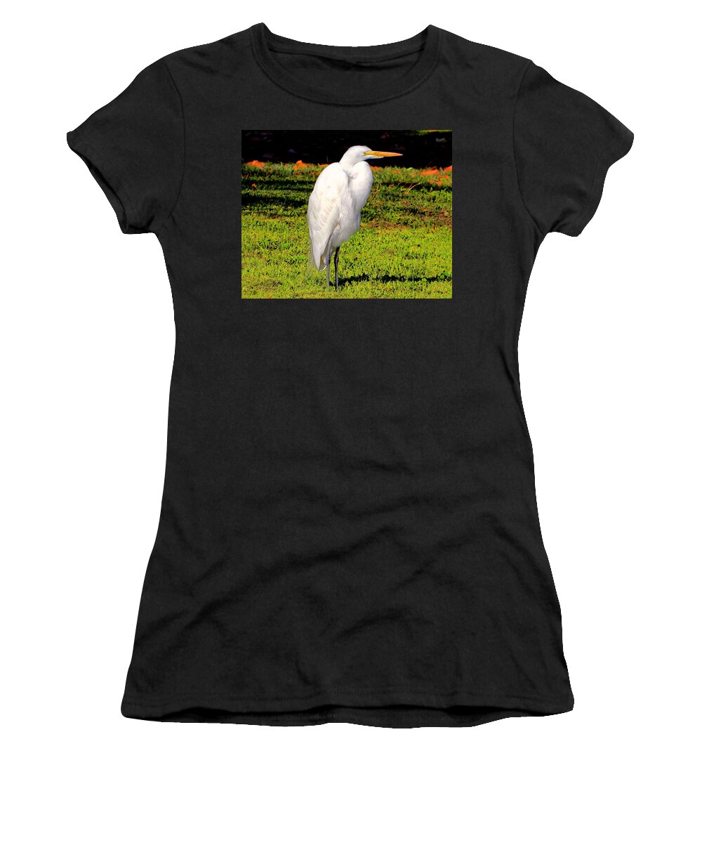 Egret Women's T-Shirt featuring the photograph Majestic Bird by Andrew Lawrence