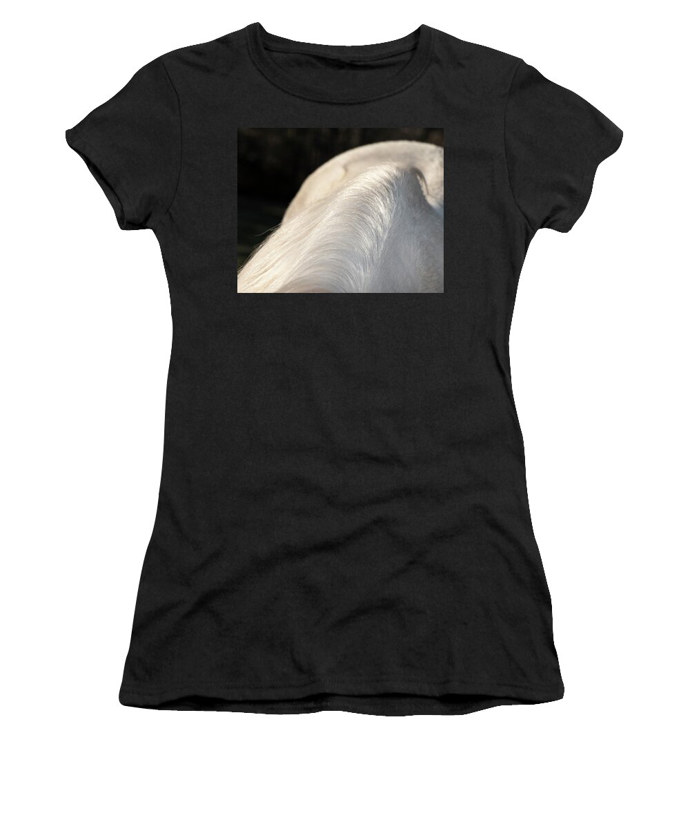 Abstract Women's T-Shirt featuring the photograph Mane Abstract by Karen Rispin