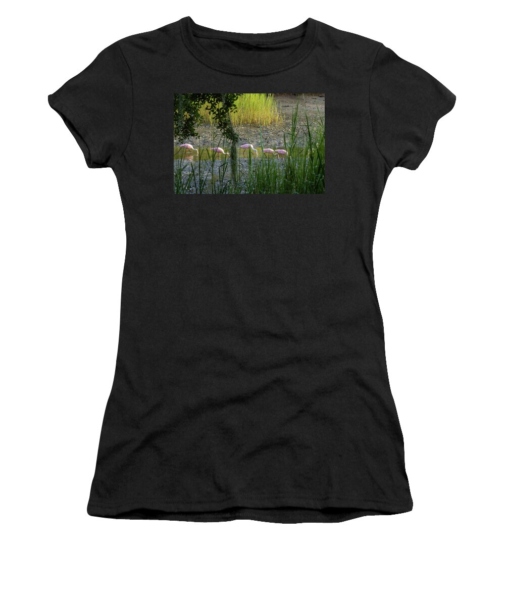 Roseate Spoonbill Women's T-Shirt featuring the photograph Marsh Highway by Patricia Schaefer