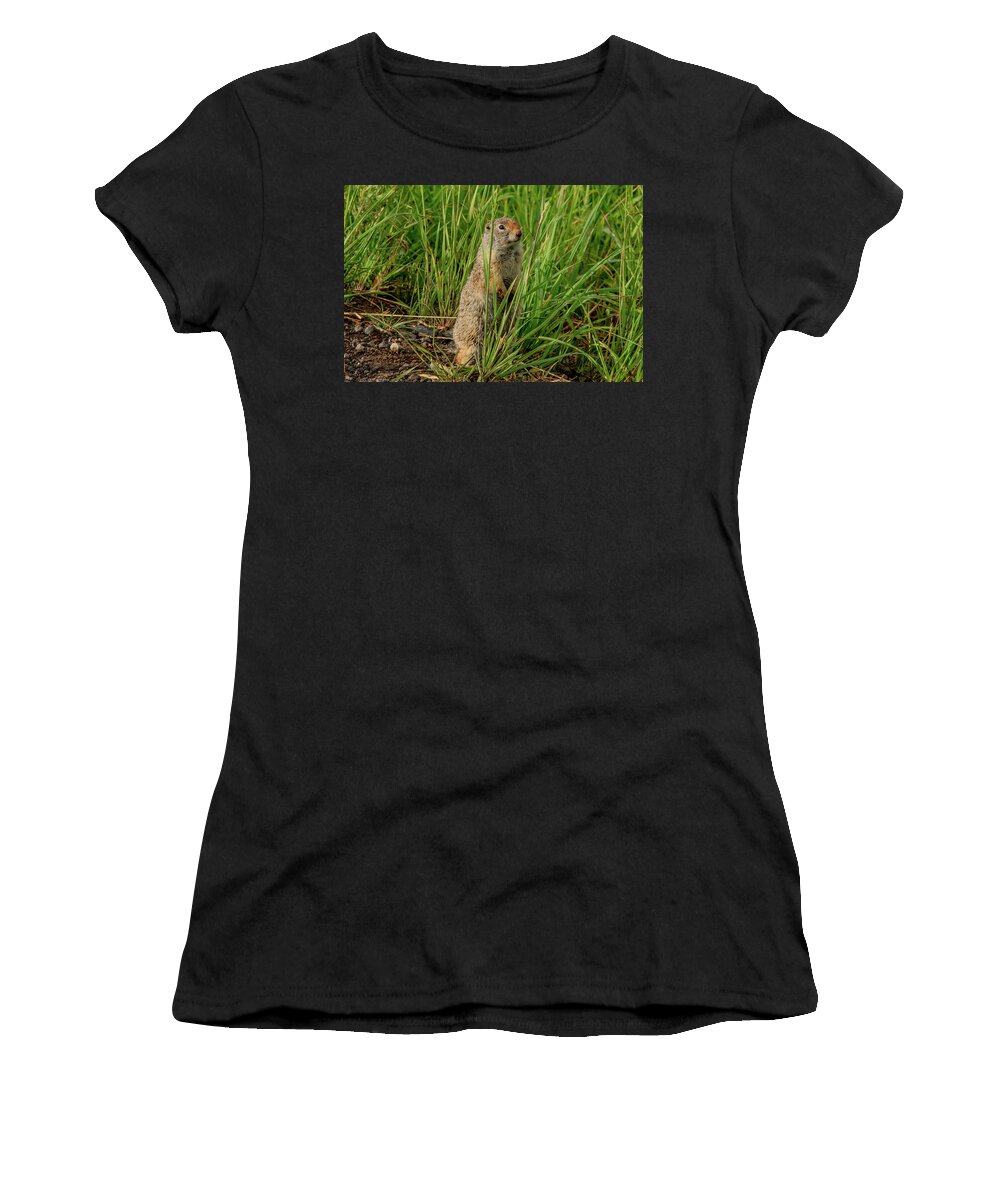 Prairie Dogs Women's T-Shirt featuring the photograph Montana Prairie Dog by Marcy Wielfaert