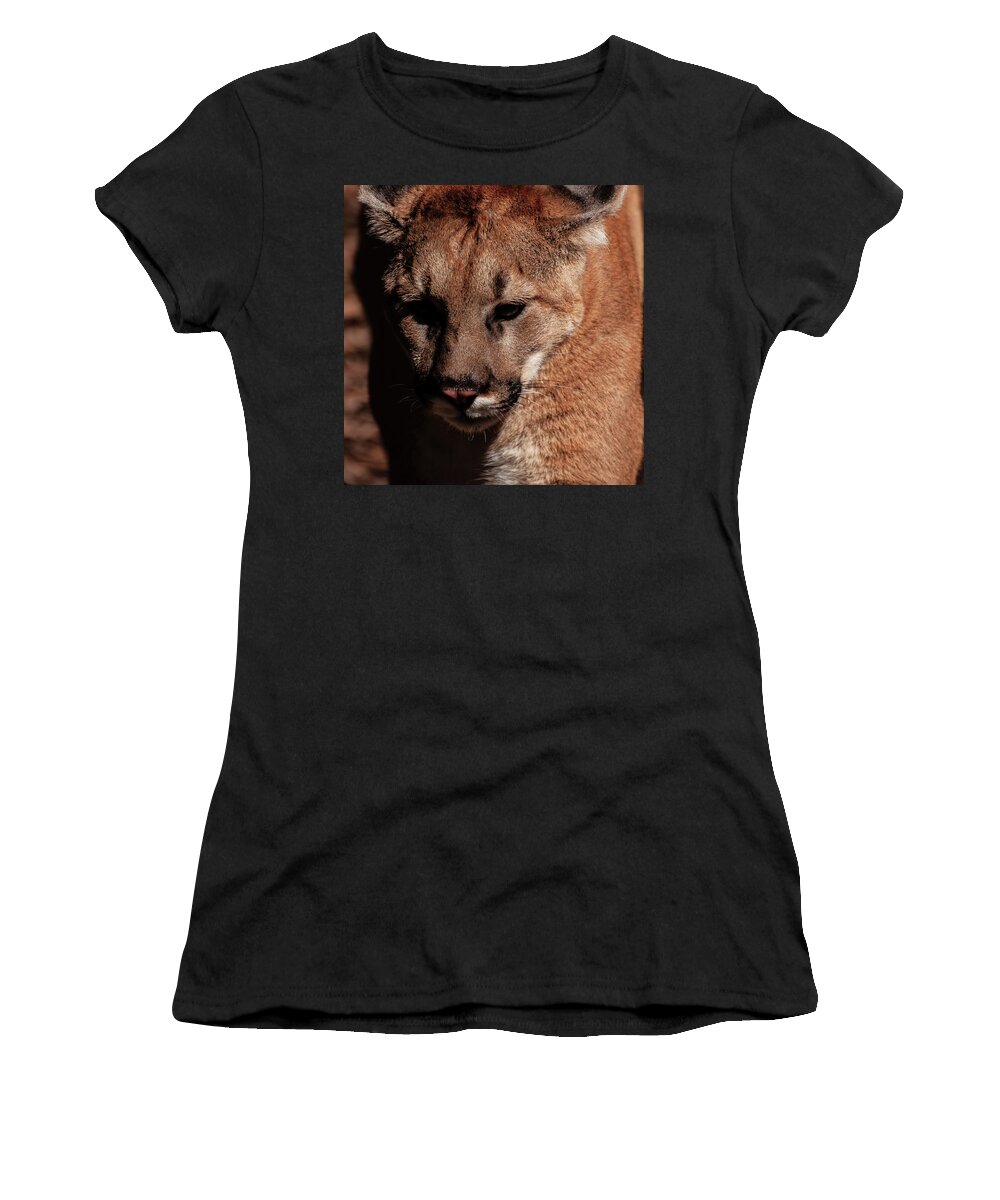Mountain Lion Portrait Women's T-Shirt featuring the photograph Mountain lion portrait 002 by Flees Photos