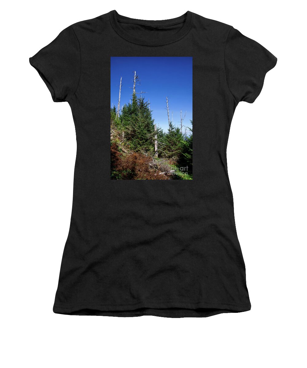 Balsam Woolly Adelgid Women's T-Shirt featuring the photograph Mountain Pines by Phil Perkins