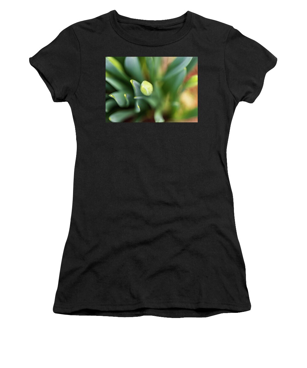 Daffodils Women's T-Shirt featuring the photograph Nature Photography - Easter Daffodils 2 by Amelia Pearn