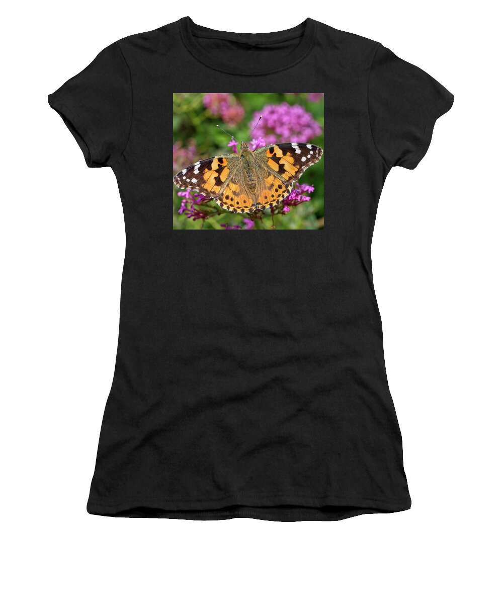 Painted Lady Women's T-Shirt featuring the photograph Painted Lady butterfly, Vanessa cardui by Tony Mills