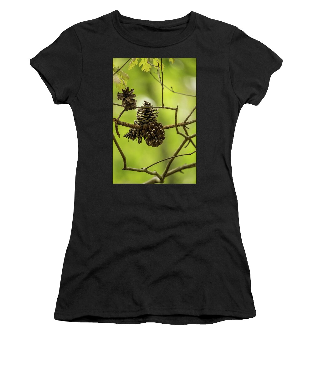 Cone Women's T-Shirt featuring the photograph Pine Cones by Rick Nelson