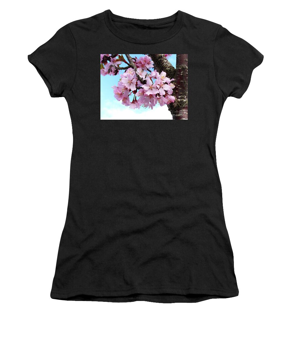 Japanese Cherry Blossom Women's T-Shirt featuring the photograph Pink Cherry Blossoms by Scott Cameron
