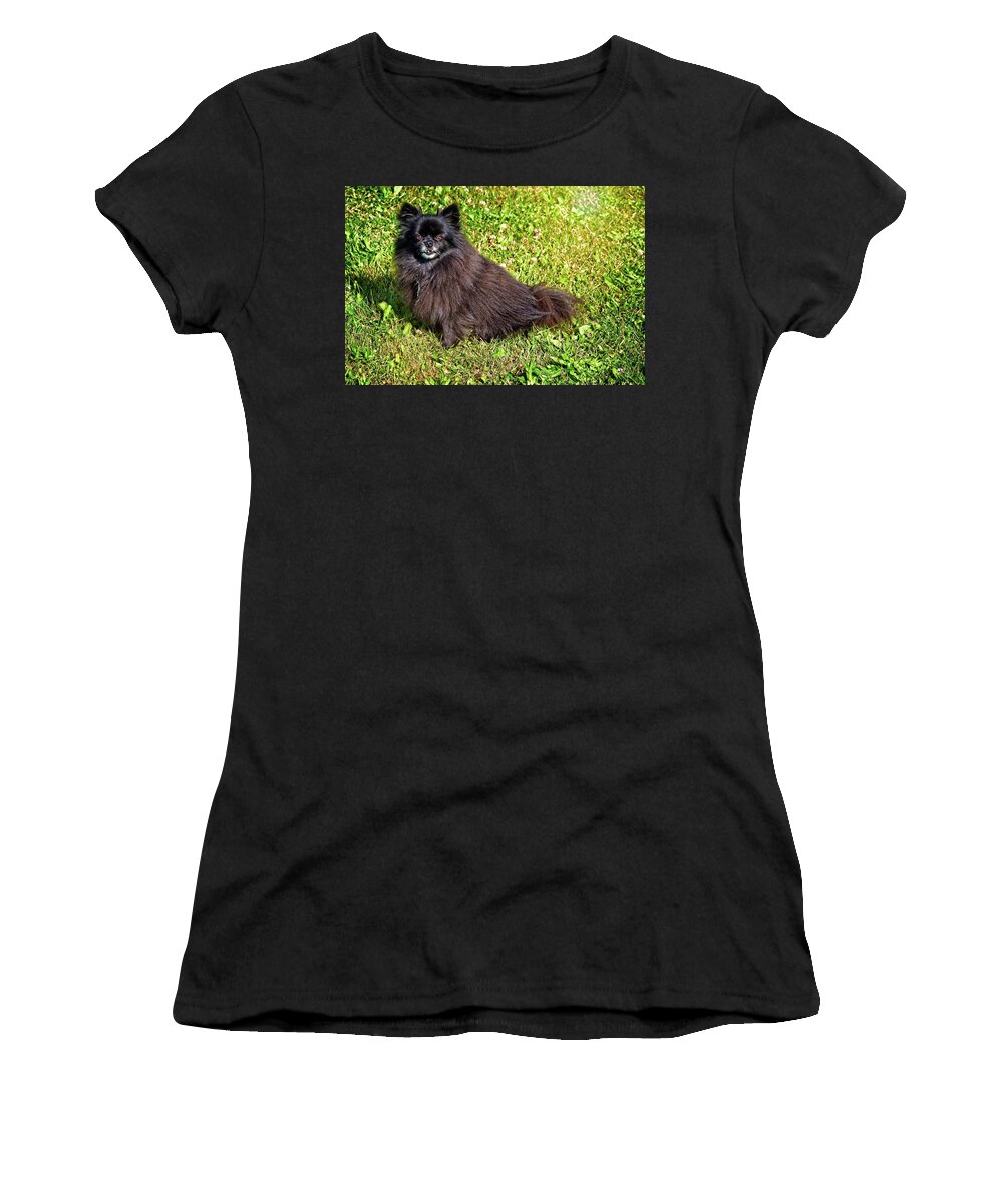 Dog Women's T-Shirt featuring the photograph Pom Getting Old by David Desautel