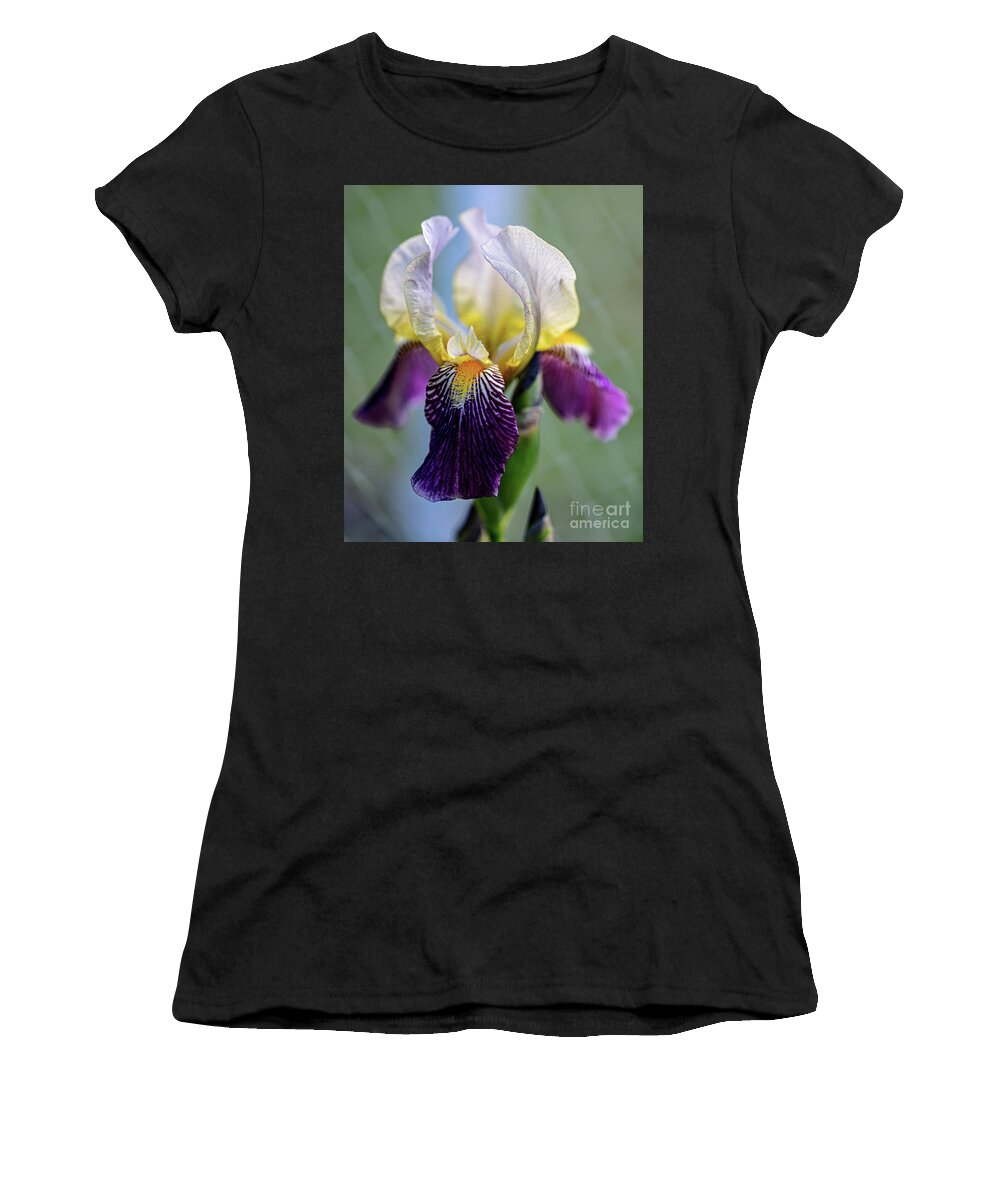 Iris Women's T-Shirt featuring the photograph Portal by Doug Norkum