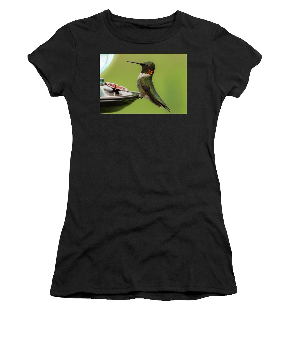 Ruby Throated Hummingbird Women's T-Shirt featuring the photograph Portrait of a Hummingbird by Sandra J's