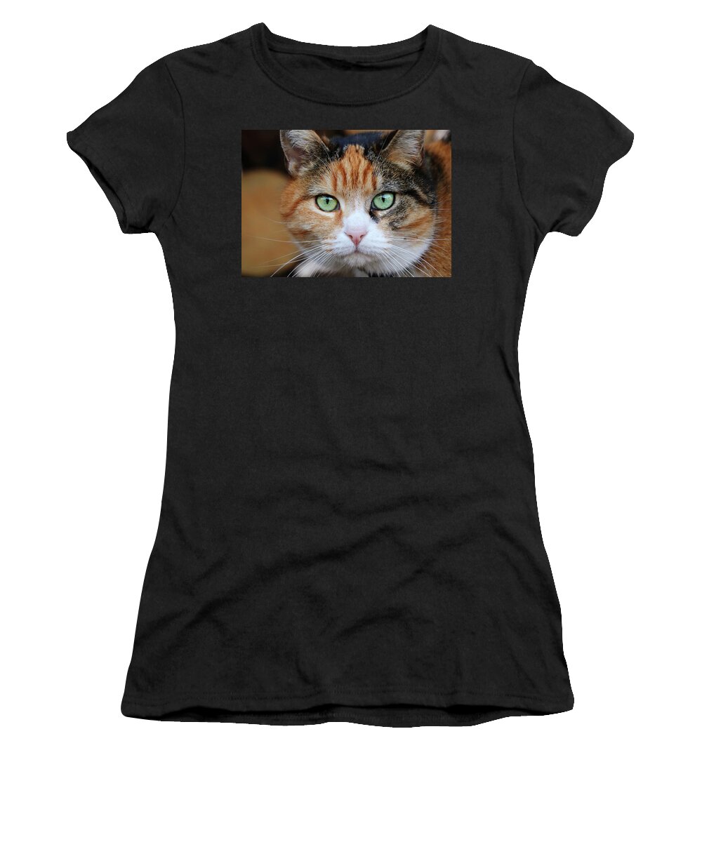 Liza Women's T-Shirt featuring the photograph Queen of cats. She is boss of this cat company. This is Mrs Micka. Brightly and magic green eyes. Close up on cat head. Black and redheaded face with magic green eyes by Vaclav Sonnek