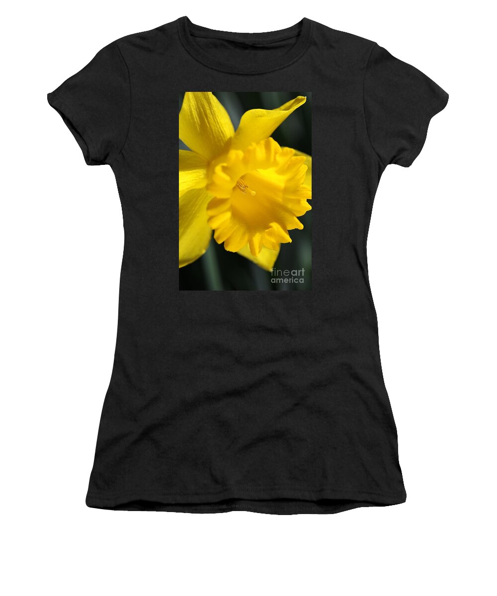 Daffodil Women's T-Shirt featuring the photograph Radiant Yellow Daffodil by Joy Watson