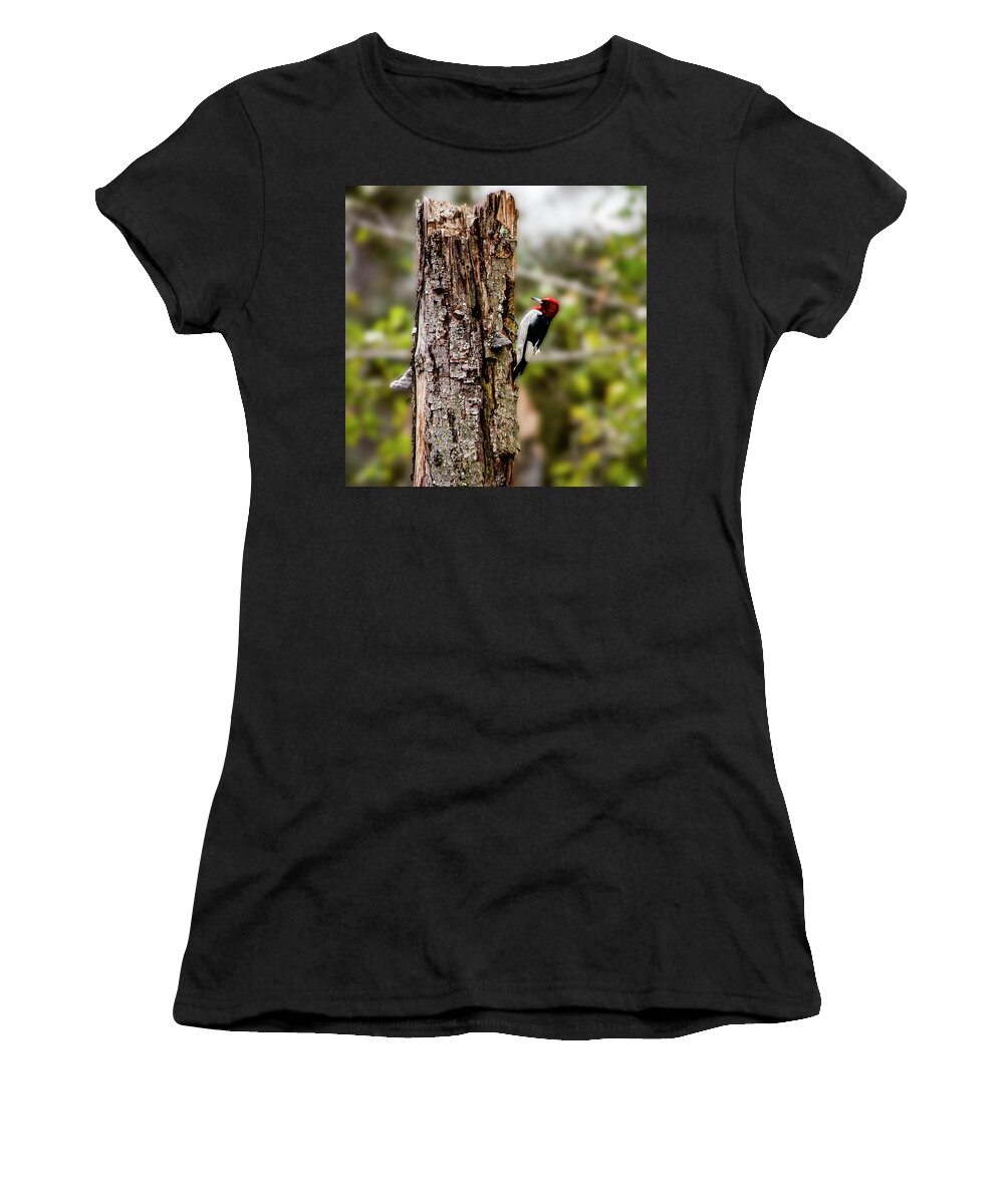  Women's T-Shirt featuring the photograph Red Headed Woodpecker by Daniel Hebard