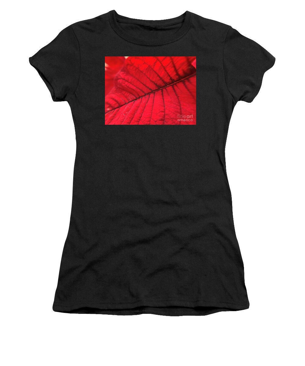 Poinsettia Women's T-Shirt featuring the photograph Red Leaf by Catherine Wilson