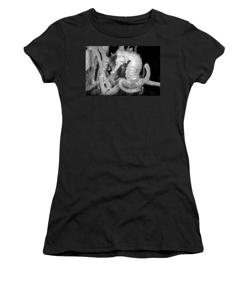 Black Women's T-Shirt featuring the photograph Seahorse on the Reef Black and White by Debra and Dave Vanderlaan