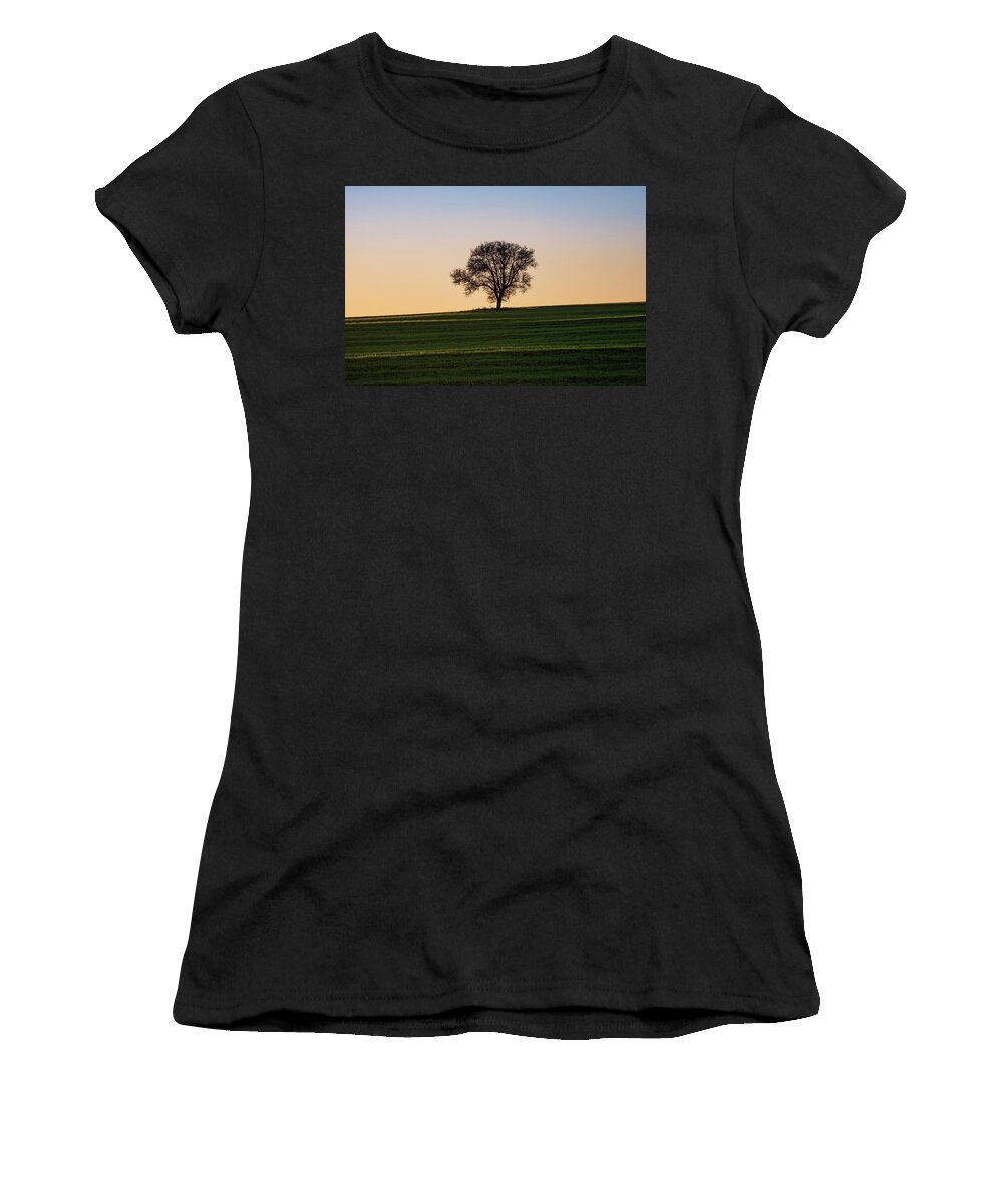 Leafless Women's T-Shirt featuring the photograph Silhouette of Lone Leafless Tree at Sunset by Alexios Ntounas