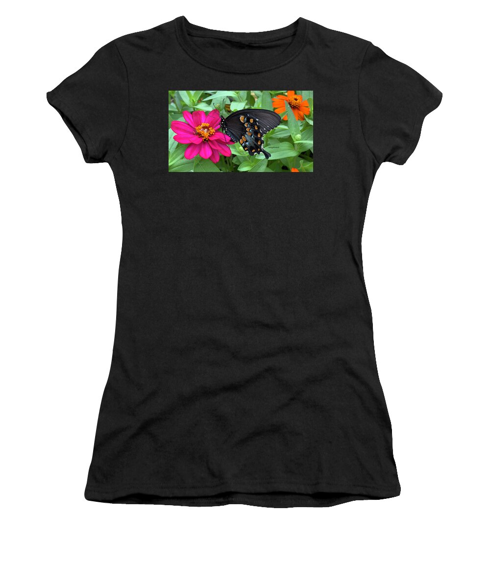 Swallowtail Women's T-Shirt featuring the photograph Spicebush Swallowtail on Zinnia by Nancy Denmark