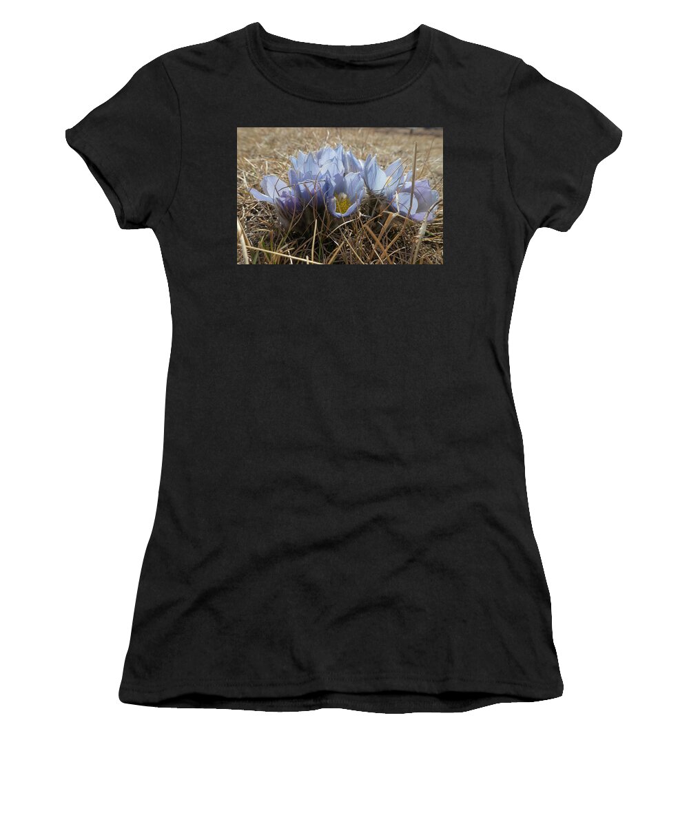 Crocus Women's T-Shirt featuring the photograph Spring Prairie Crocus by Karen Rispin