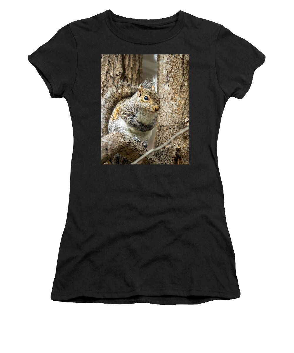 Wildlife Women's T-Shirt featuring the photograph Squirrel Keeping Warm by Rick Nelson