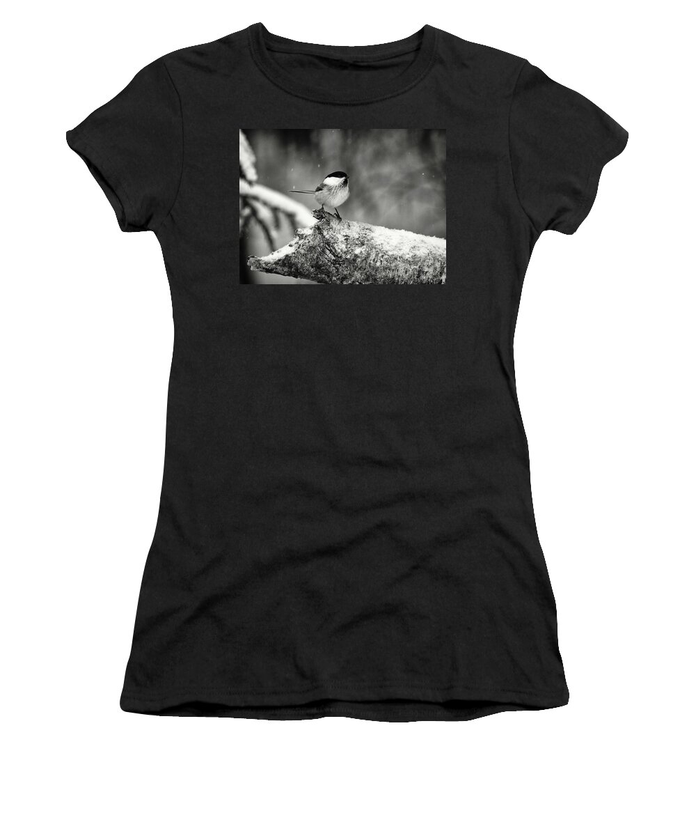 Finland Women's T-Shirt featuring the photograph Standing in the snow. Willow tit bw by Jouko Lehto