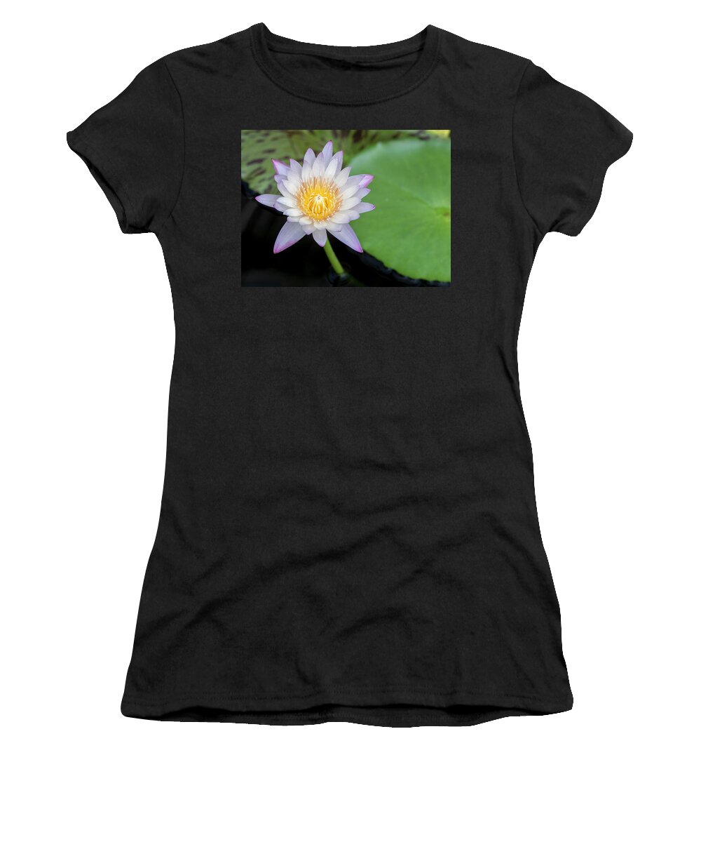 Floral Women's T-Shirt featuring the photograph Subtle and sweet. by Usha Peddamatham