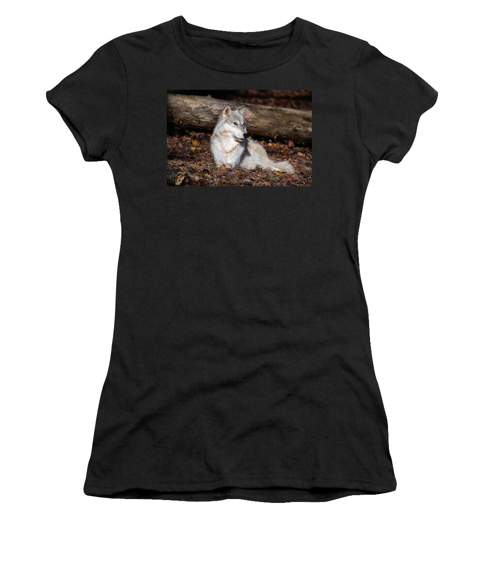 Tundra Women's T-Shirt featuring the photograph Sundays are for Relaxing by Rose Guinther