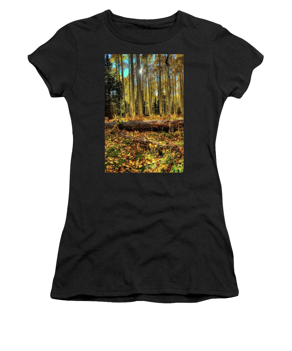 Fall Women's T-Shirt featuring the photograph Sunlight through Fall Forest by Chance Kafka