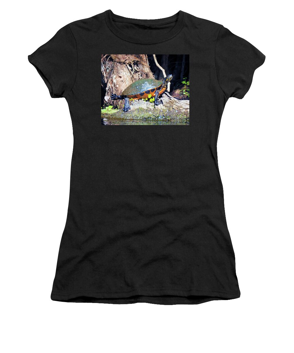 Florida Women's T-Shirt featuring the photograph Surroundings - Silver Springs Sunbathing Turtle by Chris Andruskiewicz