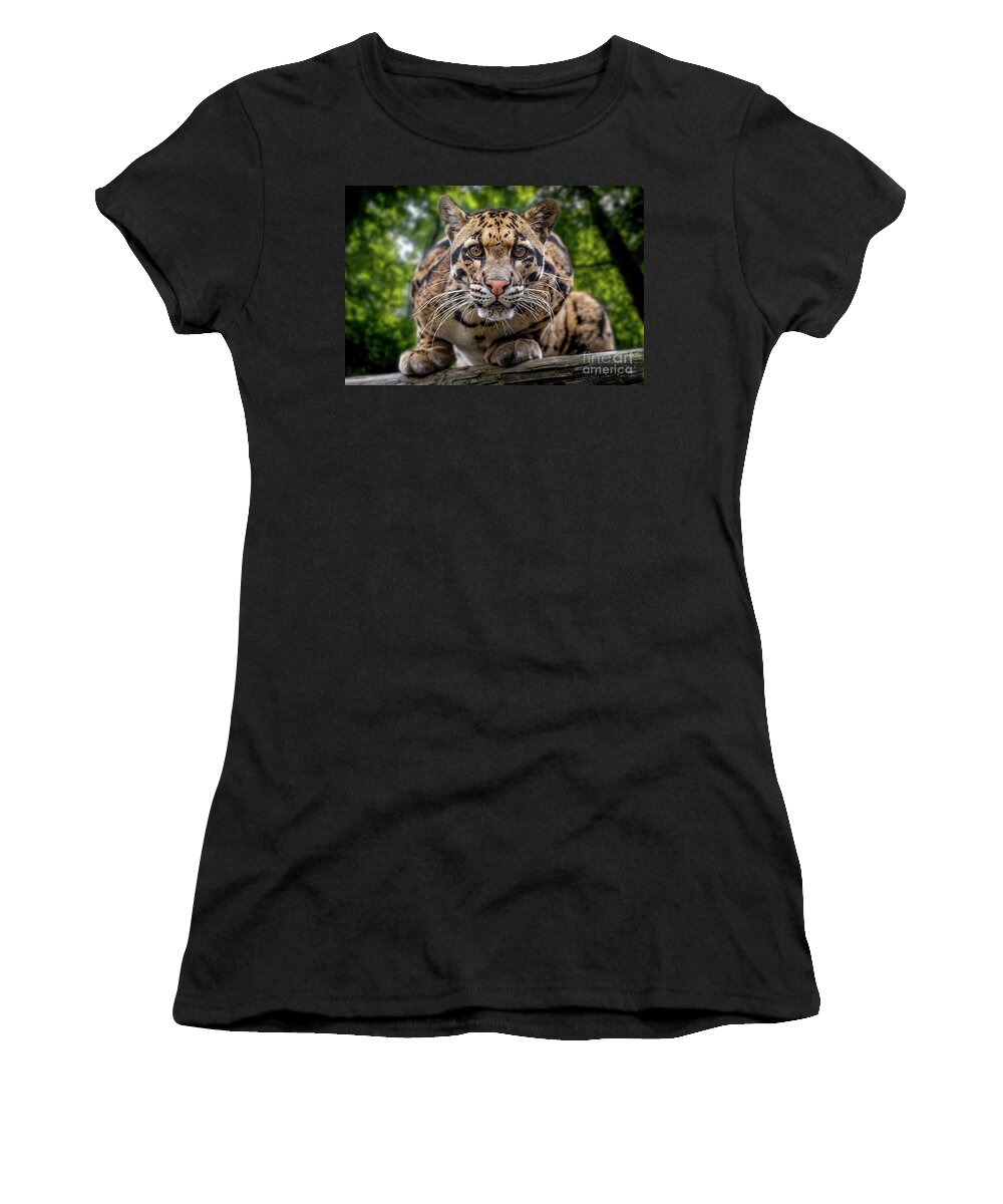 Animals Women's T-Shirt featuring the photograph Surveillance by John Hartung  ArtThatSmiles com
