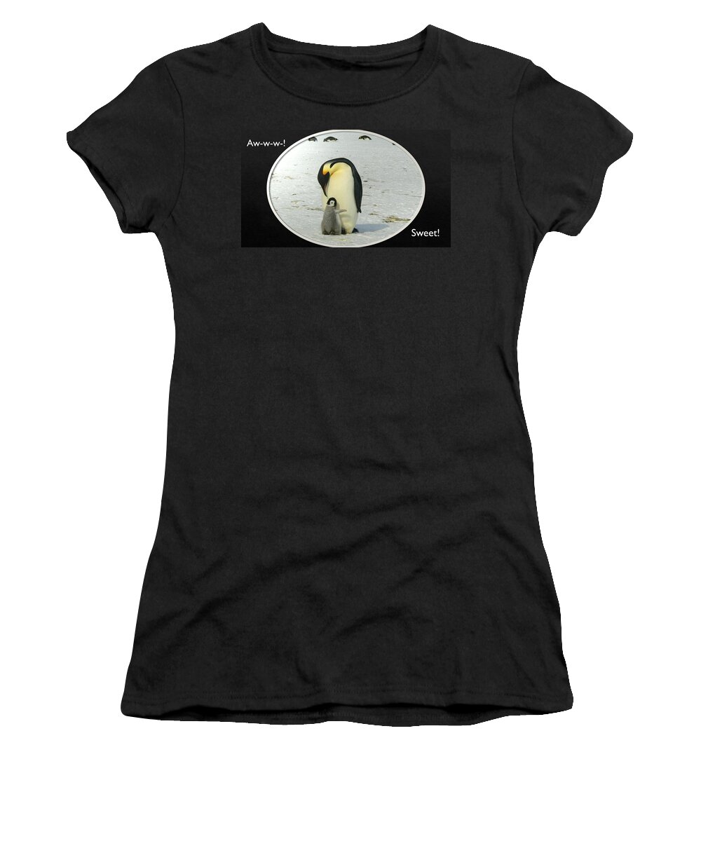 Penguins Women's T-Shirt featuring the photograph Sweet Penguins by Nancy Ayanna Wyatt