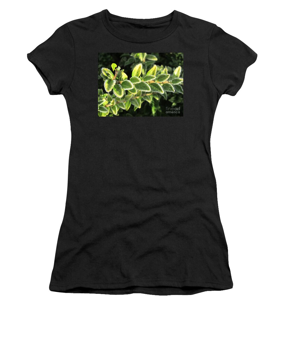 Euonymus Women's T-Shirt featuring the photograph Touched By Frost - Euonymus by Lesley Evered