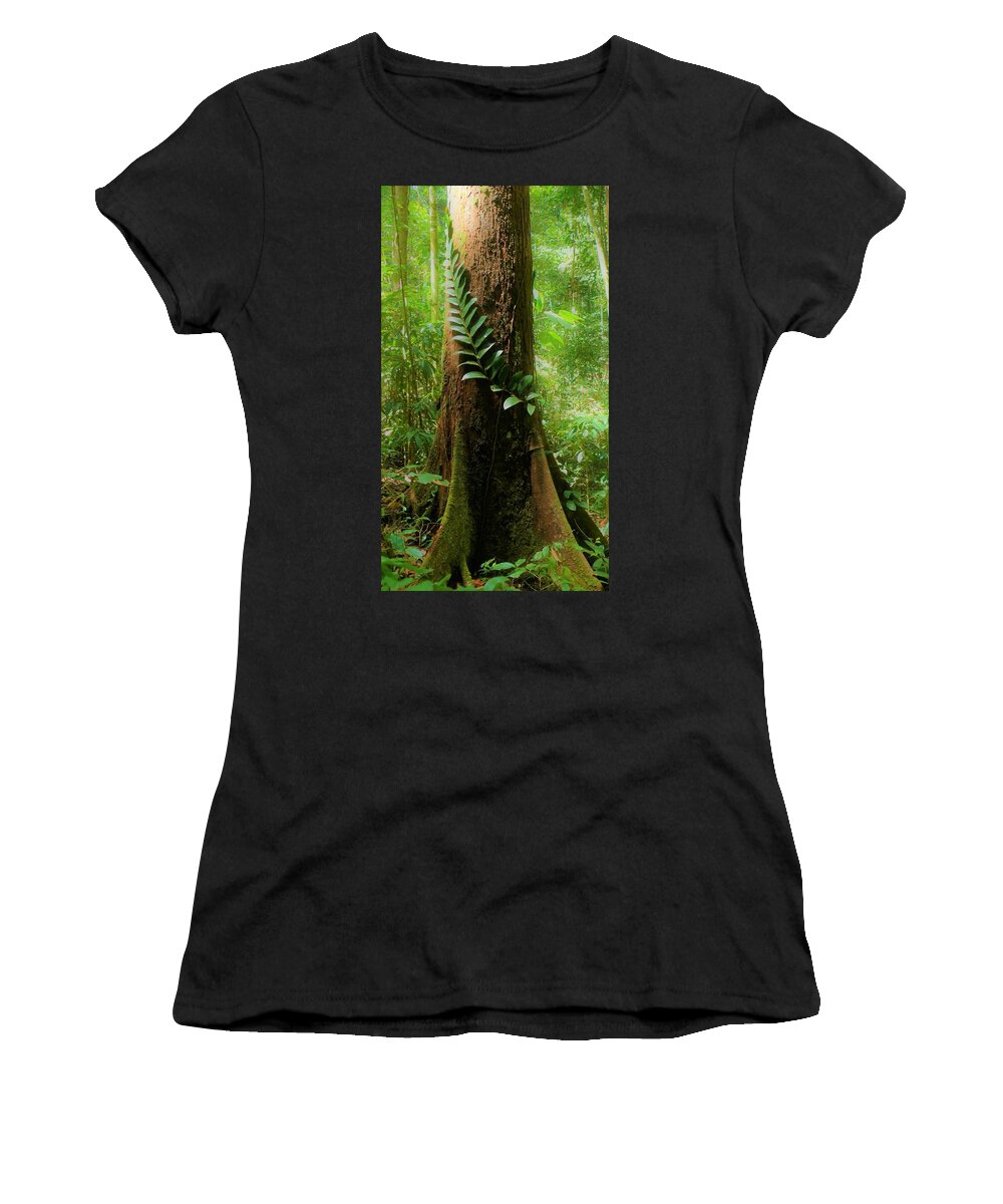 Tropical Forest Women's T-Shirt featuring the photograph Tropical Forest 2 by Robert Bociaga
