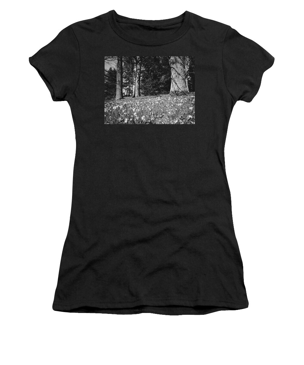 Finland Women's T-Shirt featuring the photograph Under the naked oaks bw by Jouko Lehto