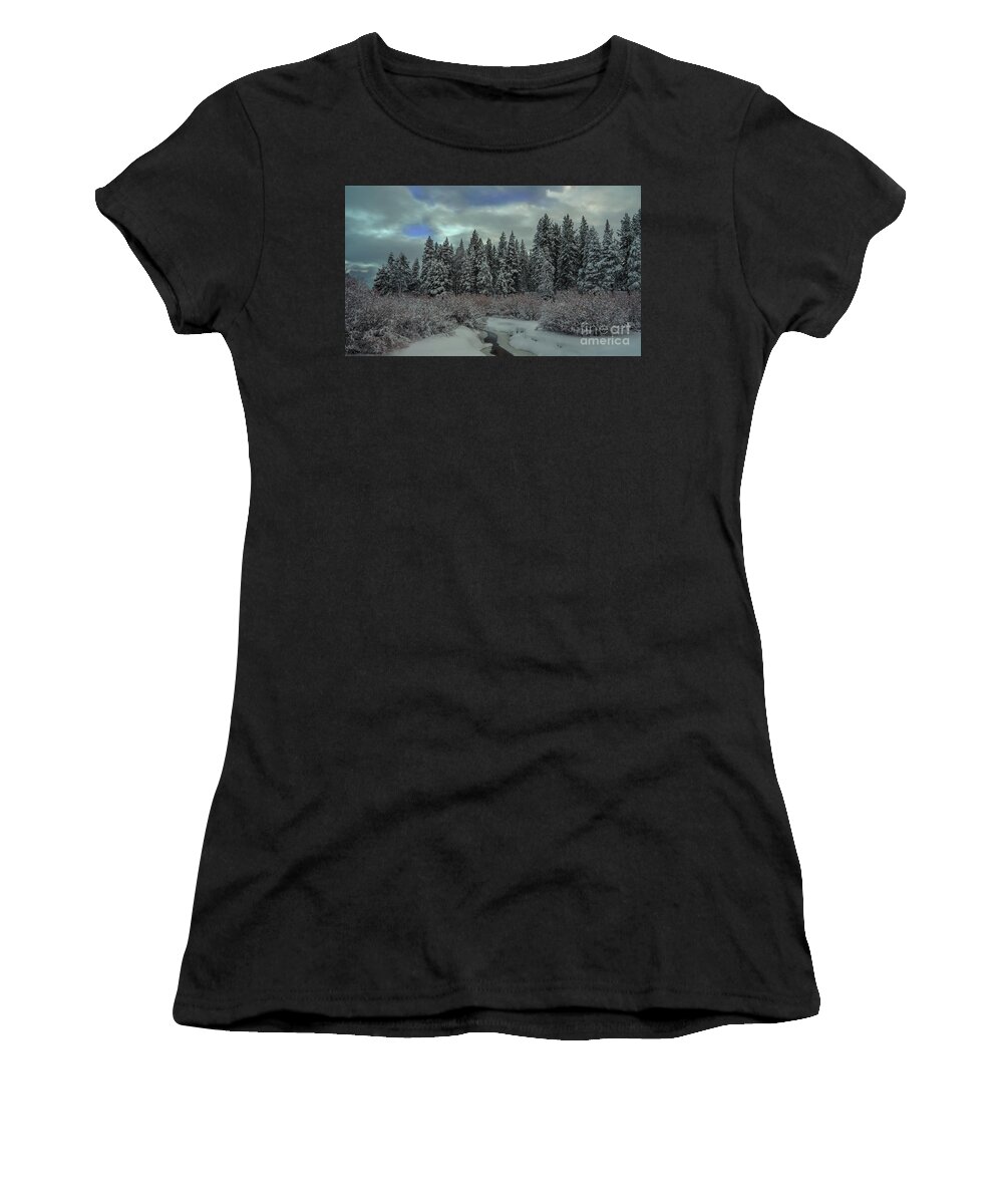  California U.s.a. Women's T-Shirt featuring the photograph upper meadow after the storm, El Dorado National Forest, California, U.S.A. by PROMedias US
