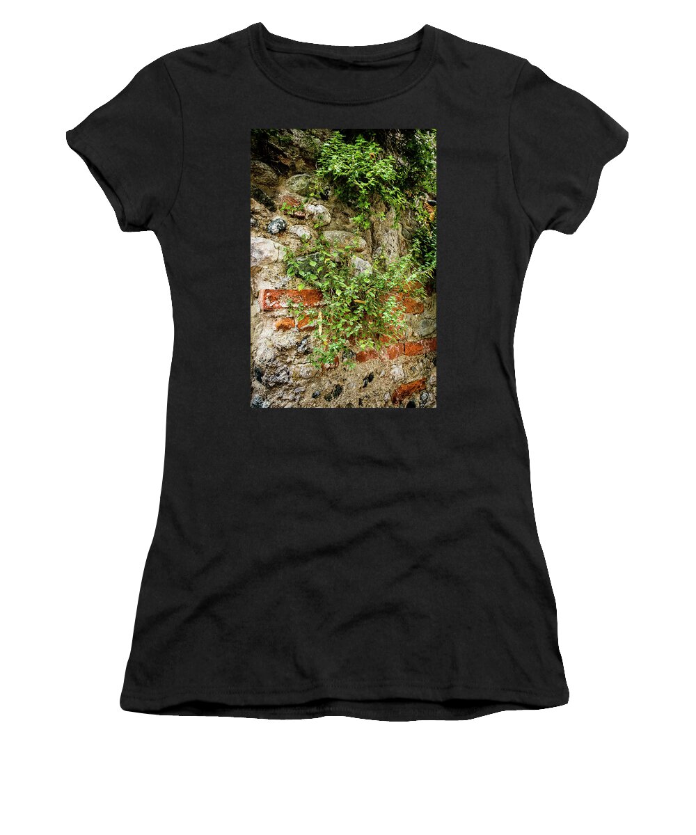Italy Women's T-Shirt featuring the photograph Vine covered stone wall by Craig A Walker