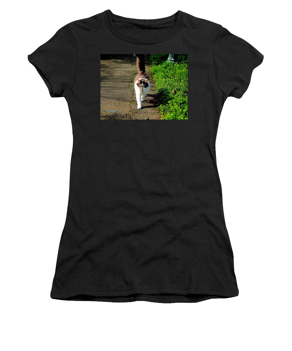 Animal Women's T-Shirt featuring the photograph Walk Rock Salt by Richard Thomas